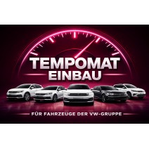 Tempomat Einbau