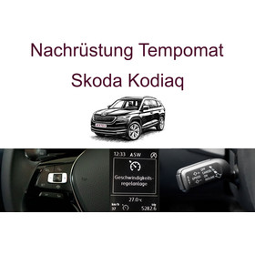 Nachrstung Tempomat Skoda Kodiaq bis 03/2024  inkl. Einbau