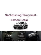 Nachrstung Tempomat Skoda Scala bis 03/2024  inkl. Einbau