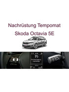 Nachrüstung Tempomat Skoda Octavia 5E inkl. Einbau