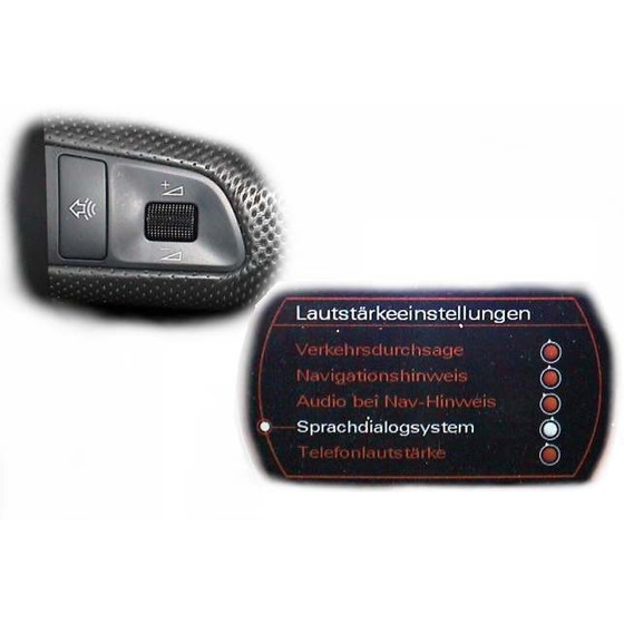 Sprach-Dialog-System (SDS) - Sprachbedienung für Audi Q7 4L