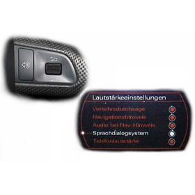 Sprach-Dialog-System (SDS) - Sprachbedienung fr Audi Q7 4L